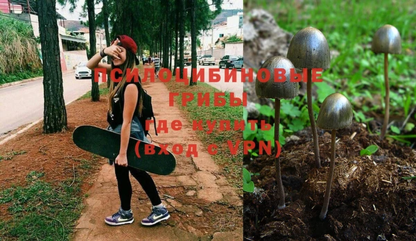 соль курить ск Богородицк