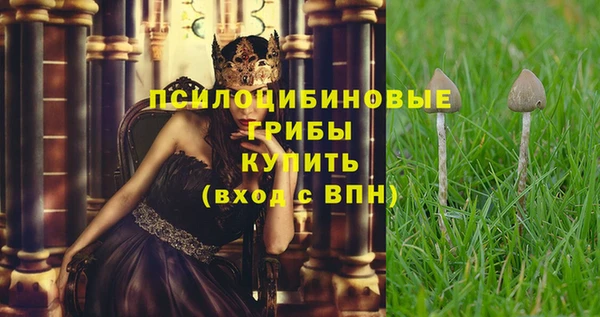 прущие крисы Беломорск