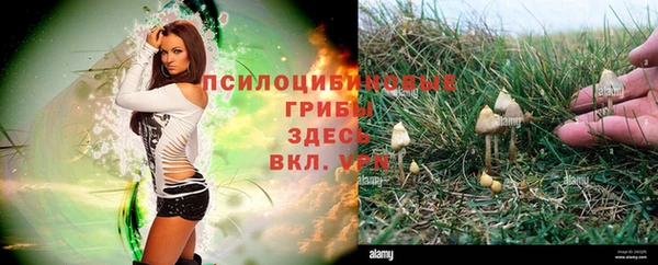 мет Богданович