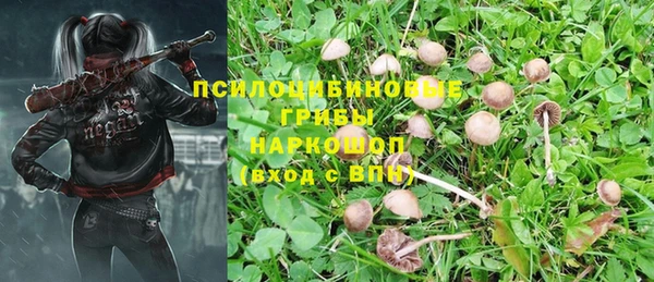 прущие крисы Беломорск