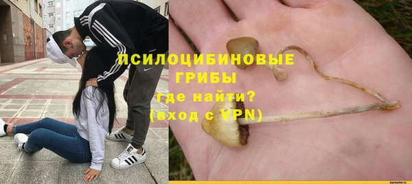 прущие крисы Беломорск