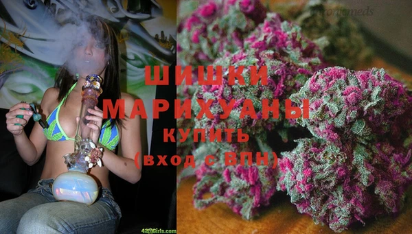 каннабис Белокуриха
