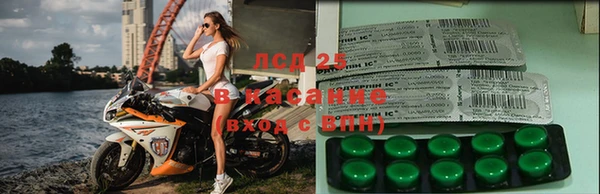 мет Богданович